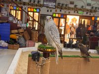 Naher Osten 2025 - 174